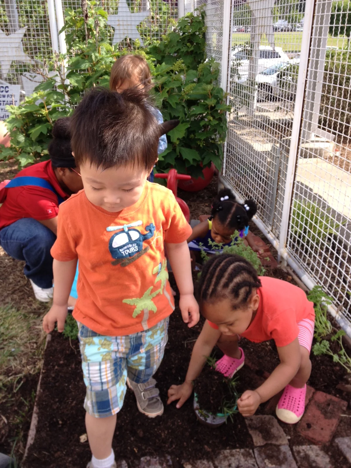 New Infant/Toddler Garden! 