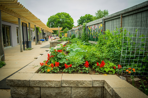 UCCCGarden1.jpg