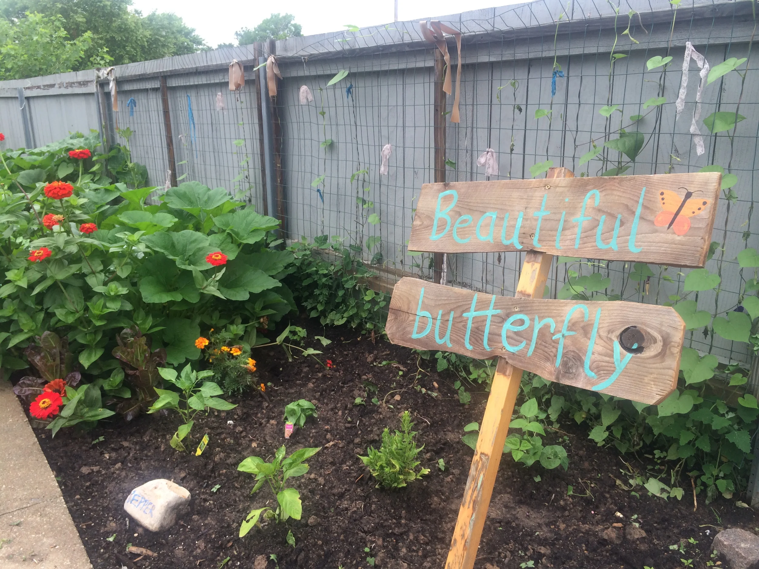 UCCC how does your garden grow?