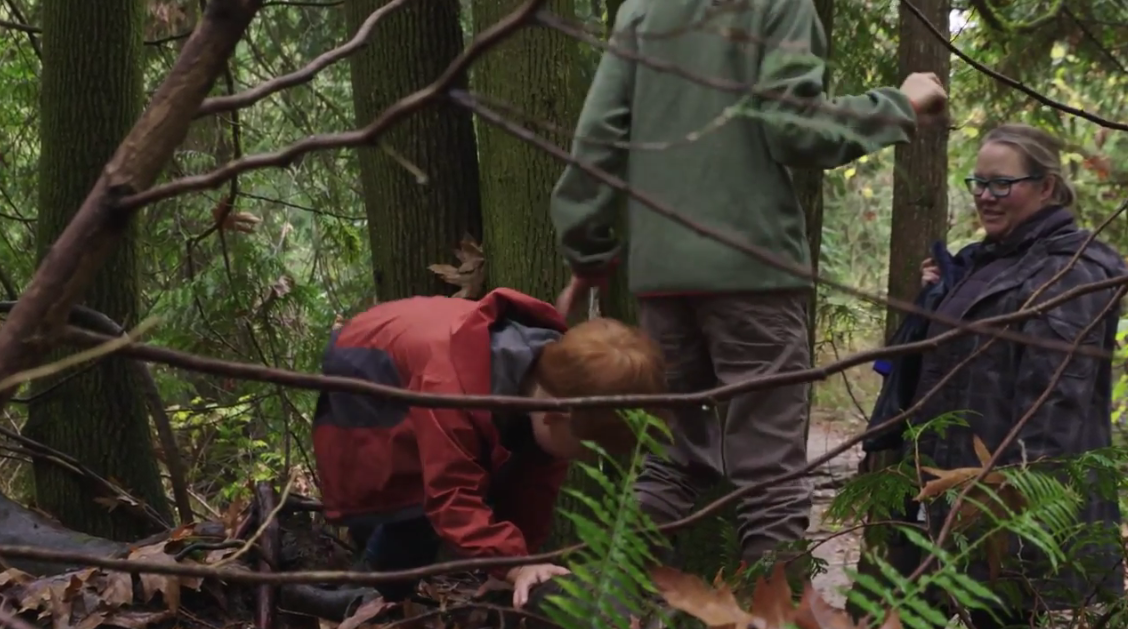 Vroom Tip: Exploring Trees 