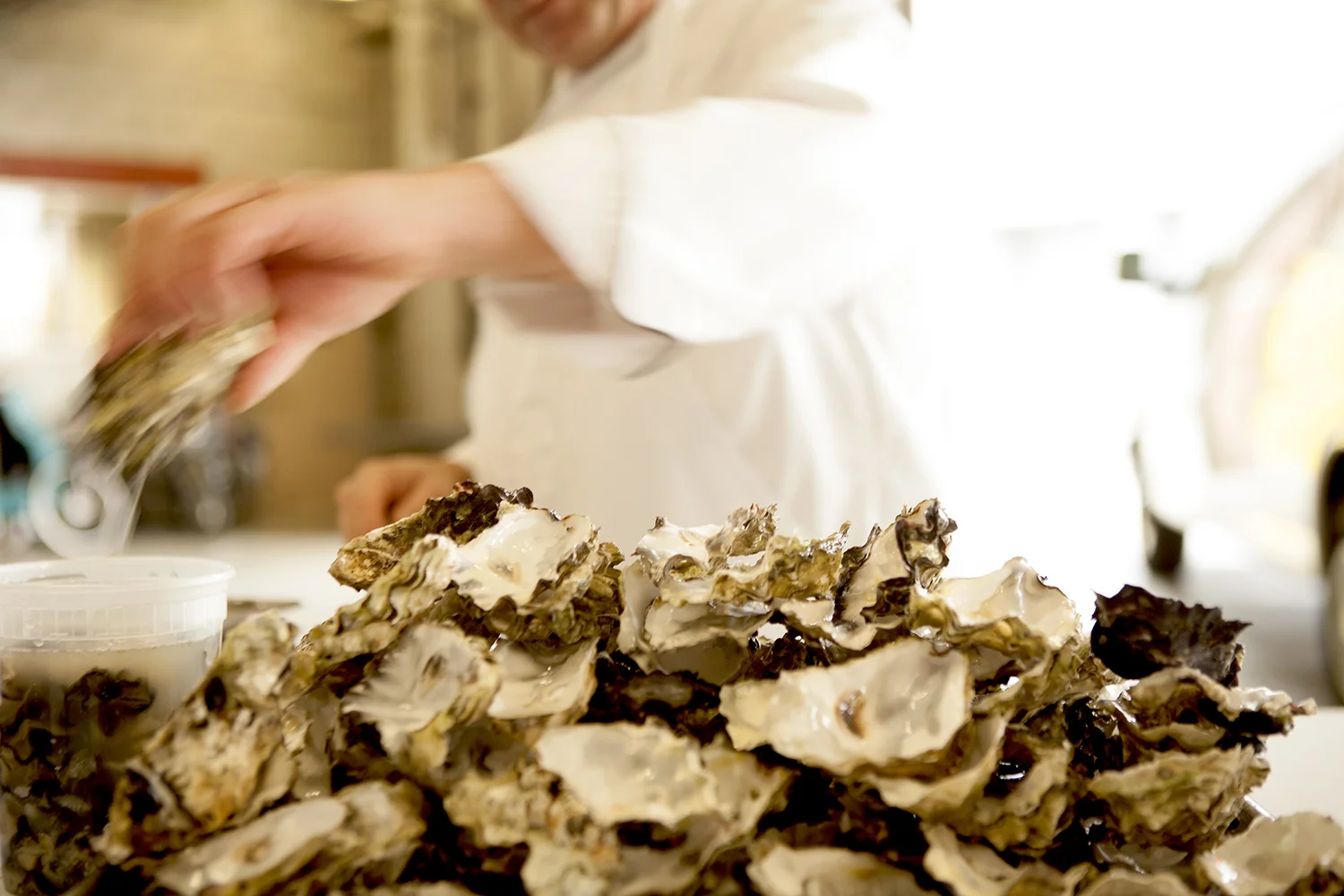 04Shucking oysters.jpg