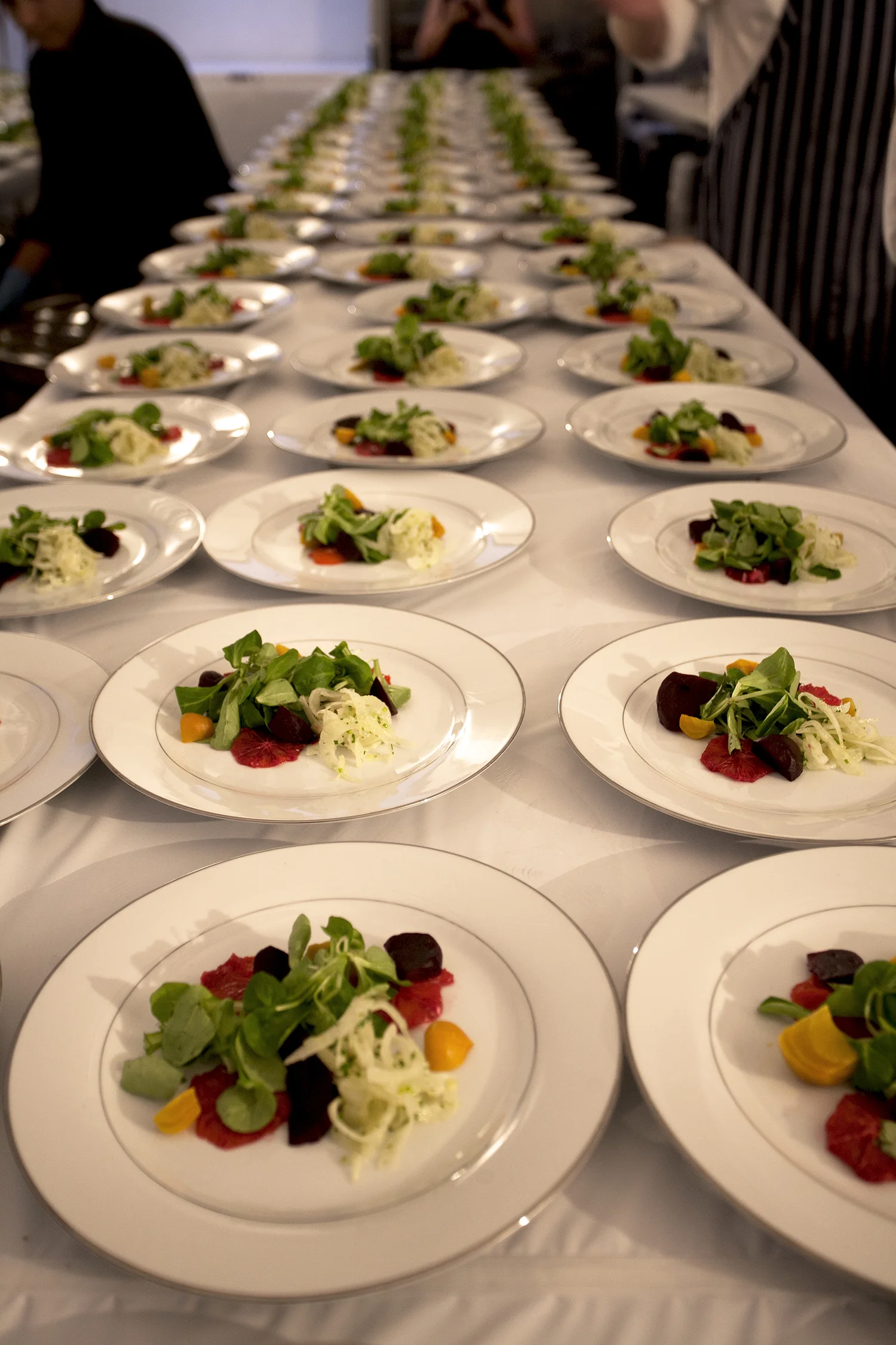 line of salads.jpg
