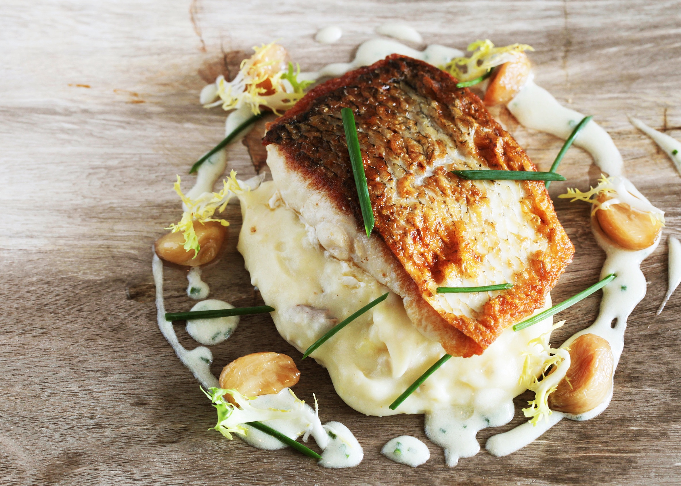 Pan seared sea bass on top of mashed potatoes with a dill sauce, roasted garlic and chive