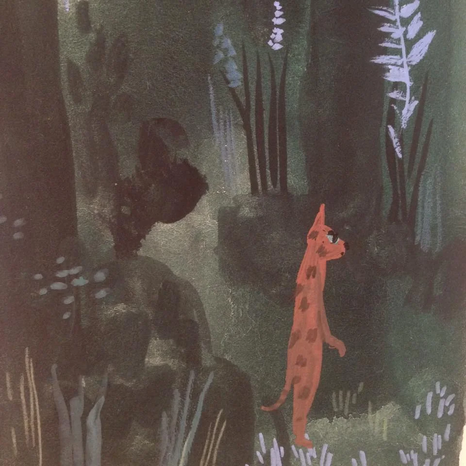 Forest cat. Unpublished personal work.