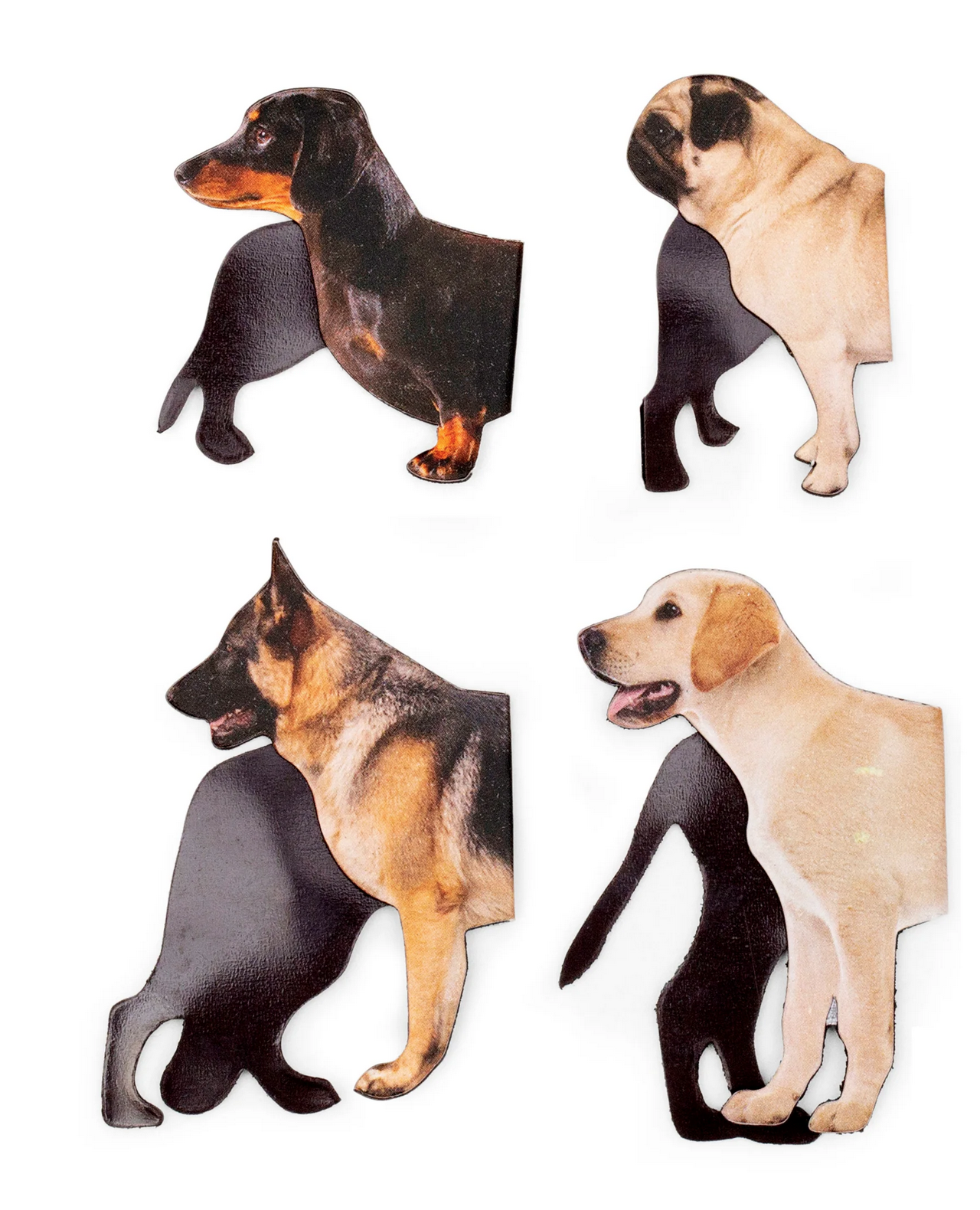 Screen Shot 2024-11-24 at 11.34.22 AM.png