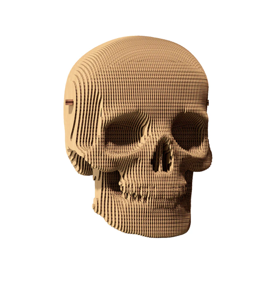 Screen Shot 2025-02-06 at 12.05.23 PM.png