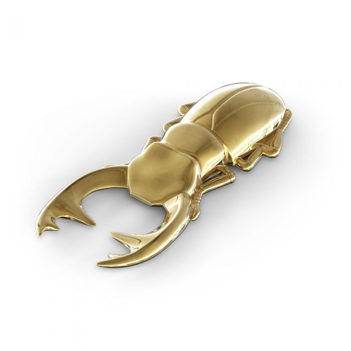 beetle3.jpg