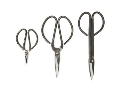 gardenscissor2.JPG