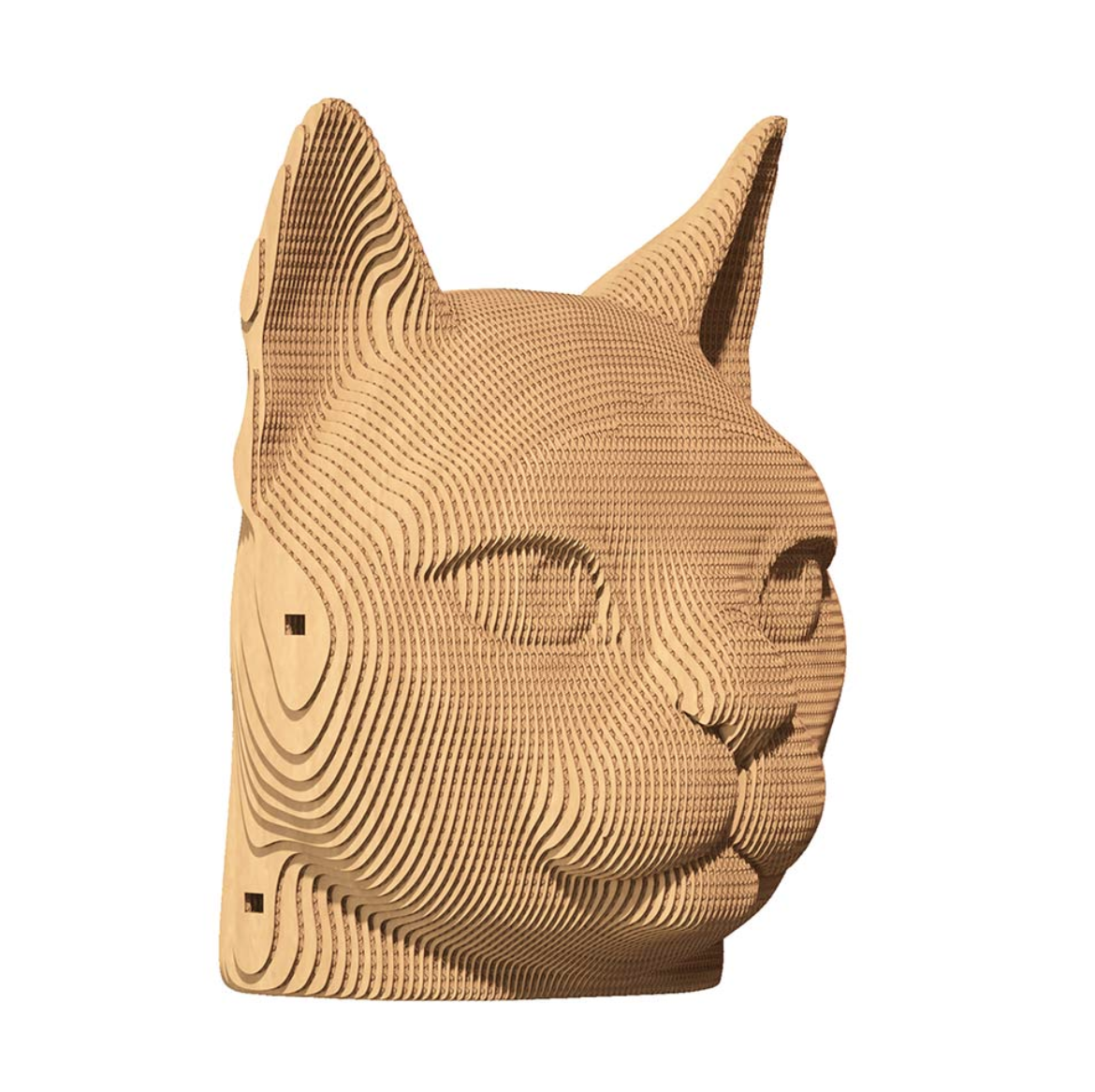 Screen Shot 2025-02-06 at 12.03.16 PM.png