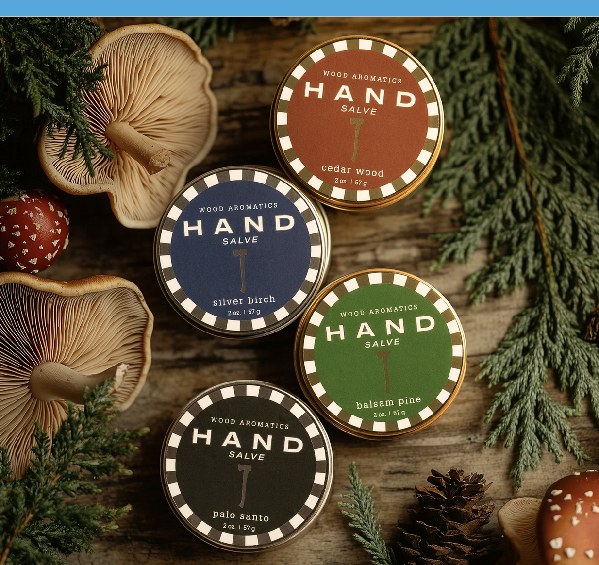 Screen Shot 2024-11-19 at 11.02.29 AM.png