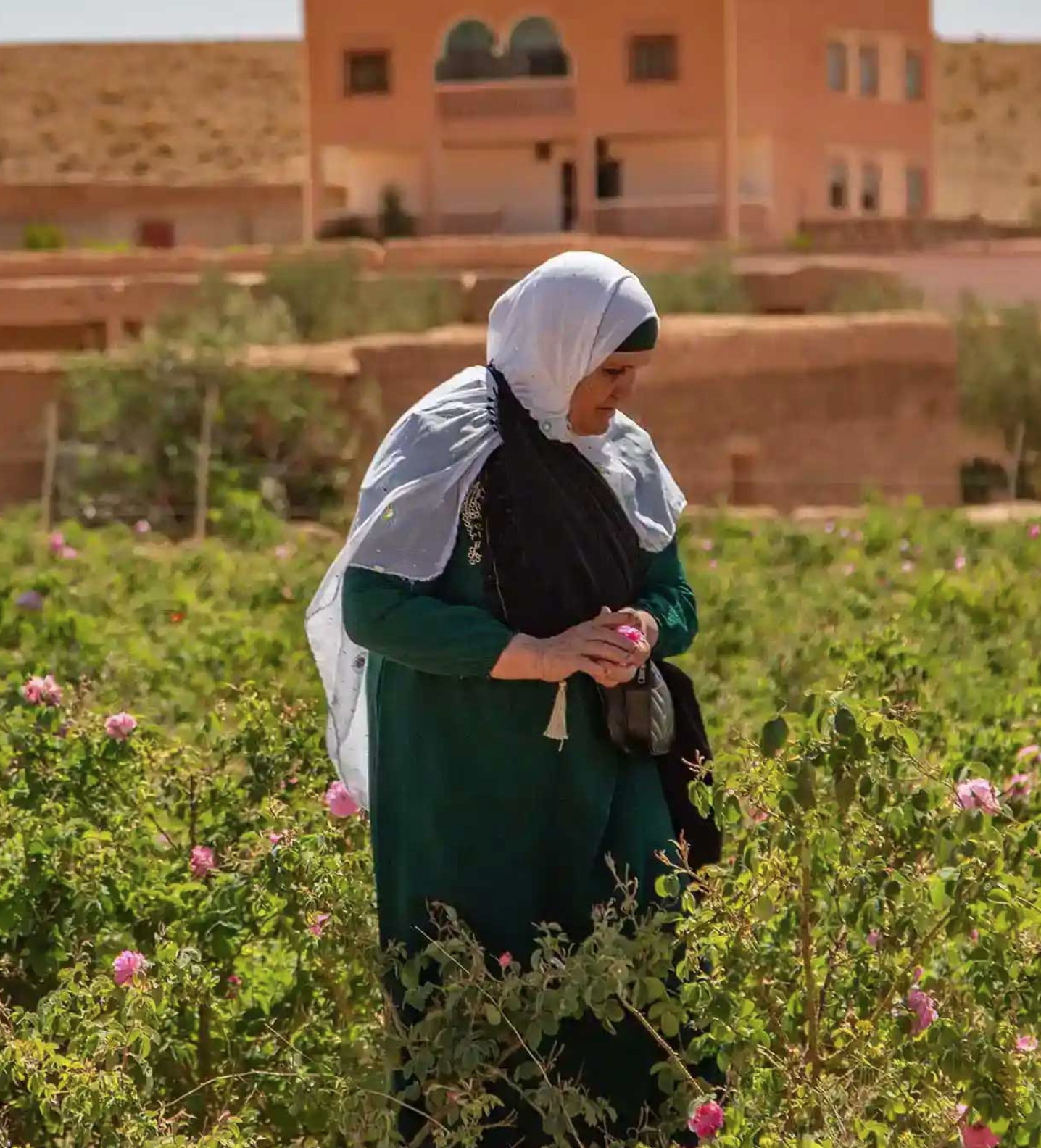 Screen Shot 2025-04-23 at 1.17.32 PM.png