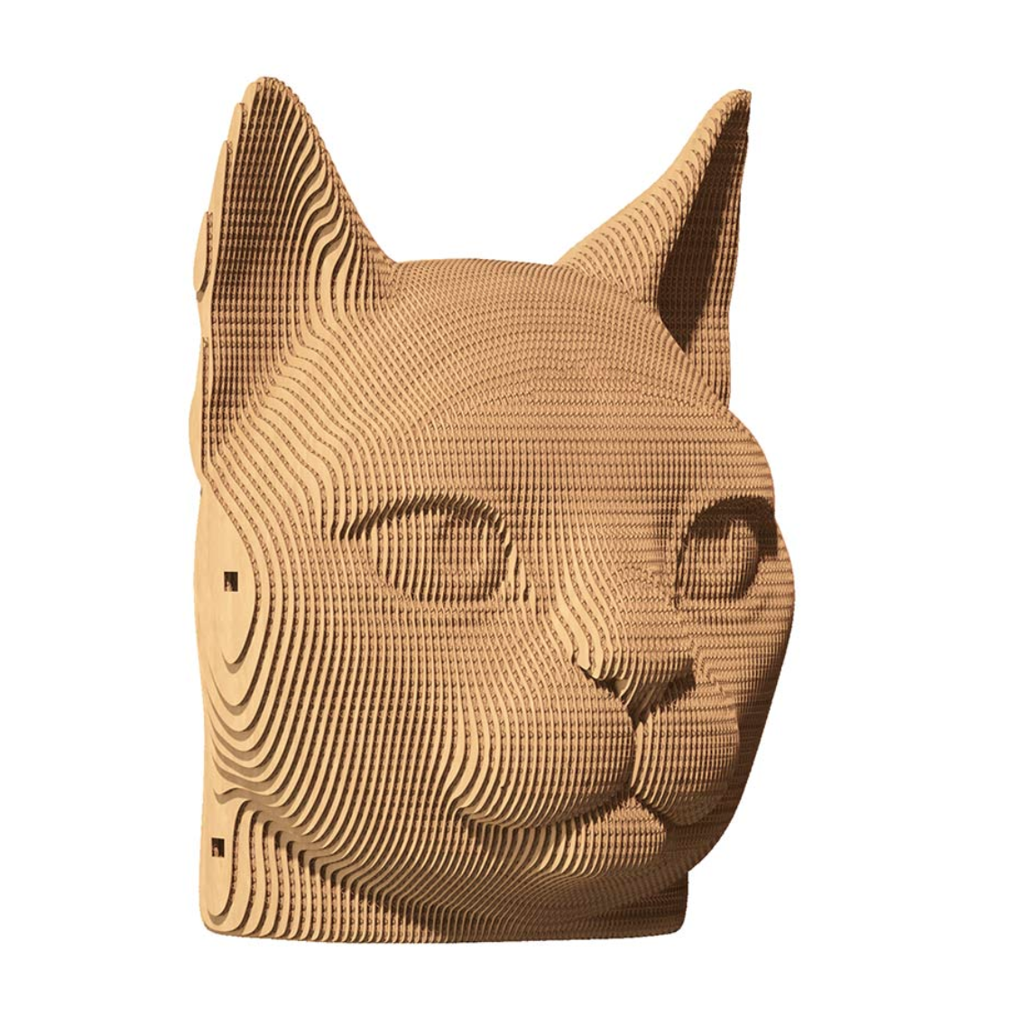 Screen Shot 2025-02-06 at 12.02.55 PM.png