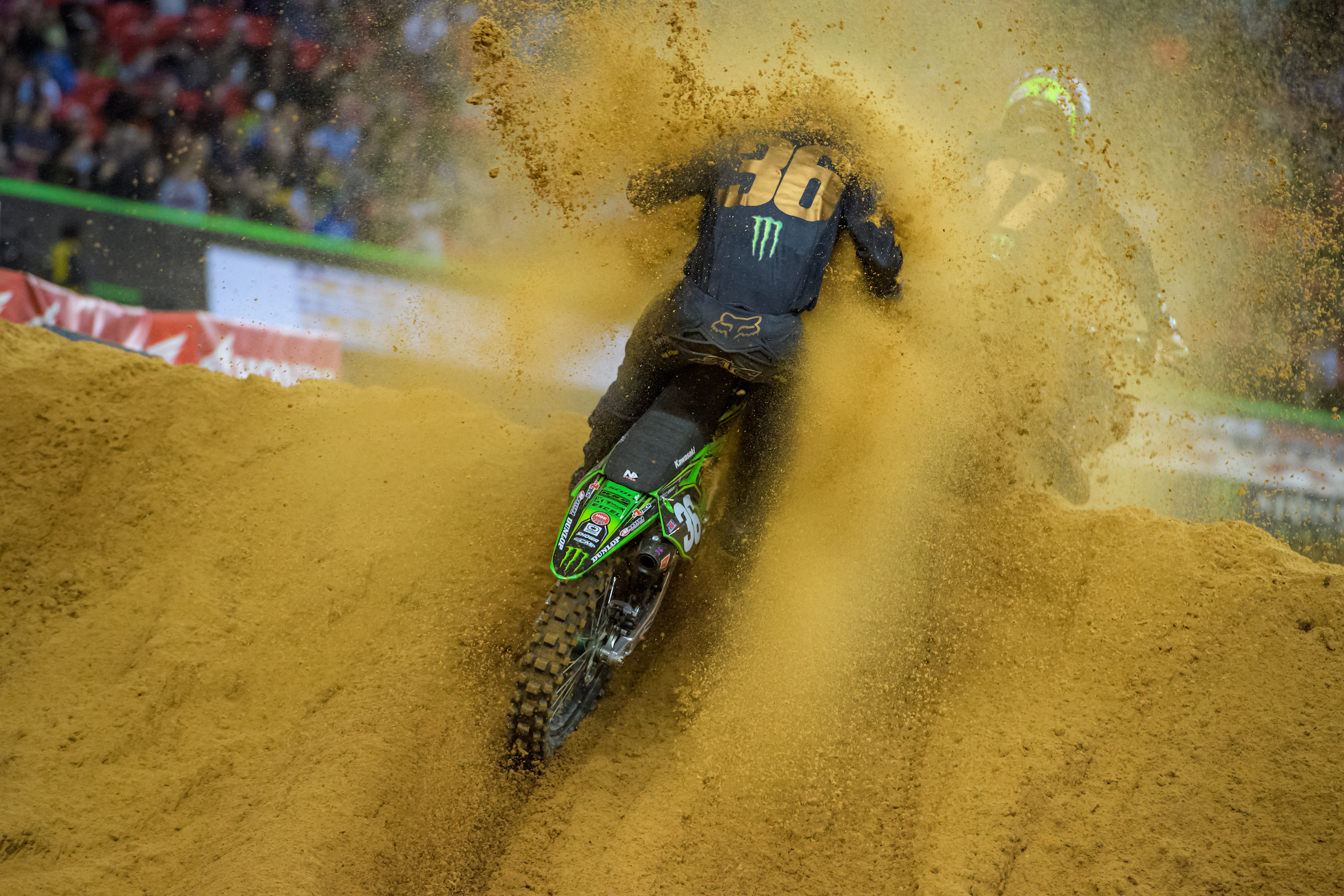 Adam Cianciarulo Roosted