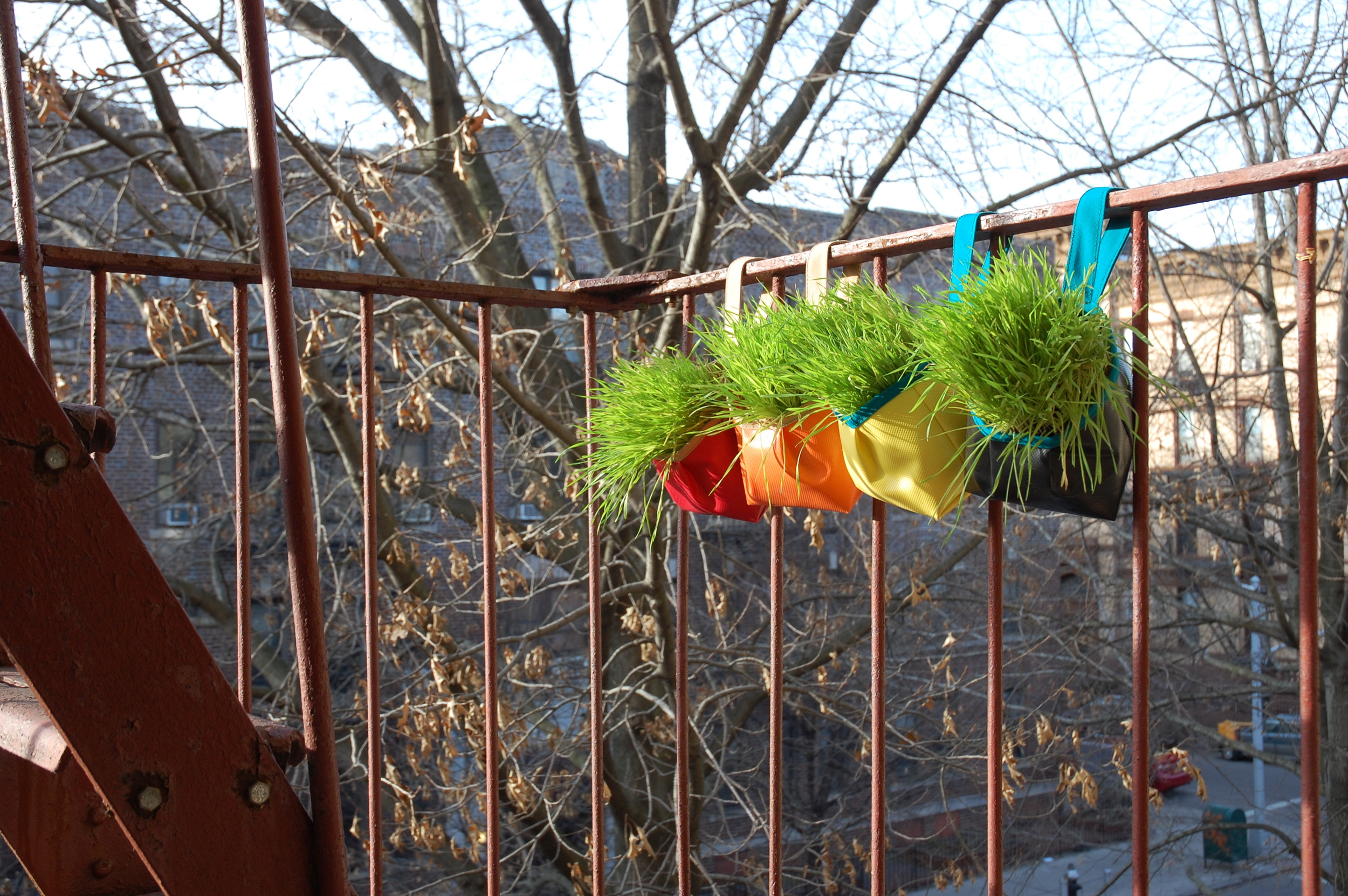 Colorful garden tote planters brightening up the fire escape in early spring!
