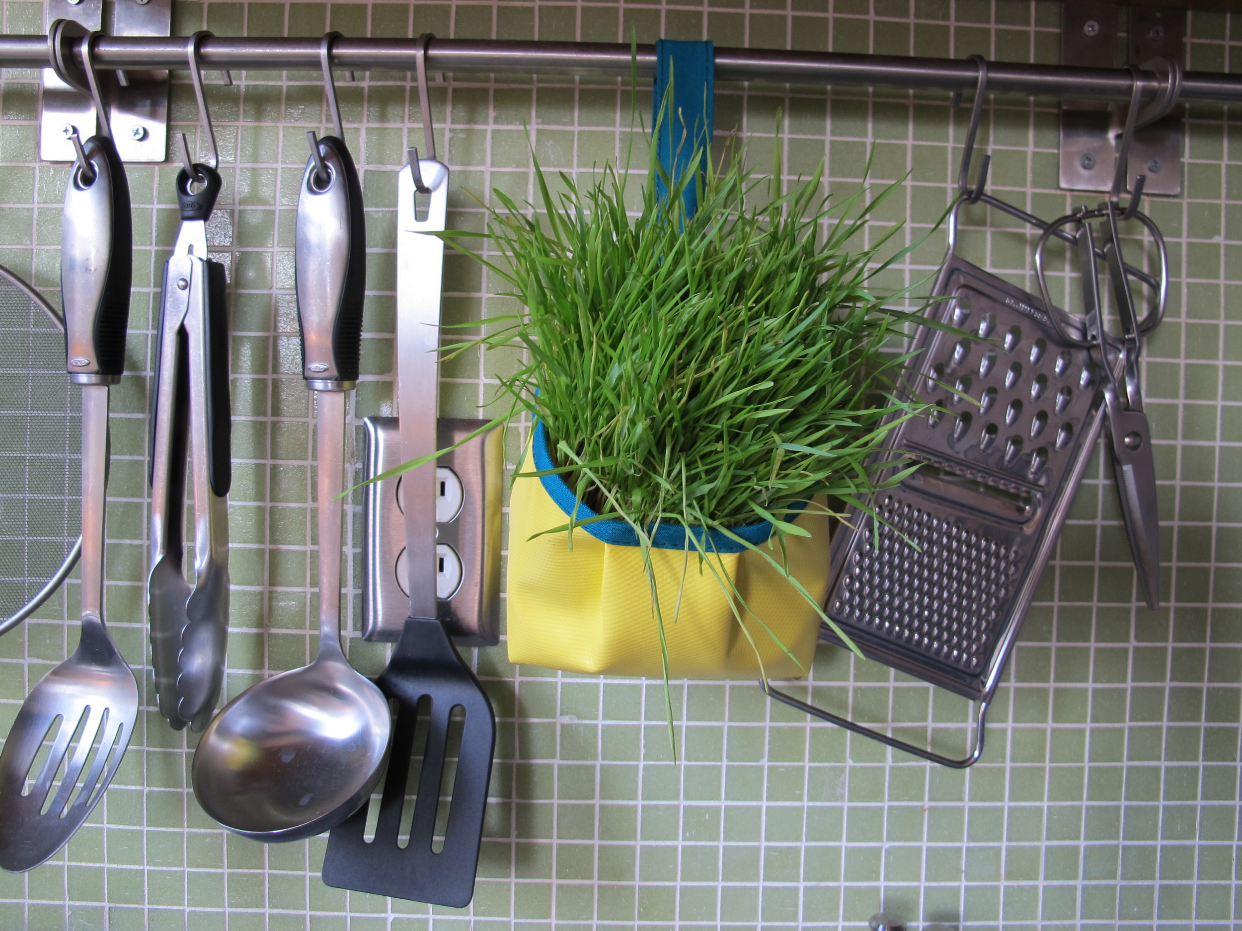Yep! this planter could even hang in your kitchen. Snip some wheatgrass for your morning smoothie? If only I was that healthy... Wendy is though!