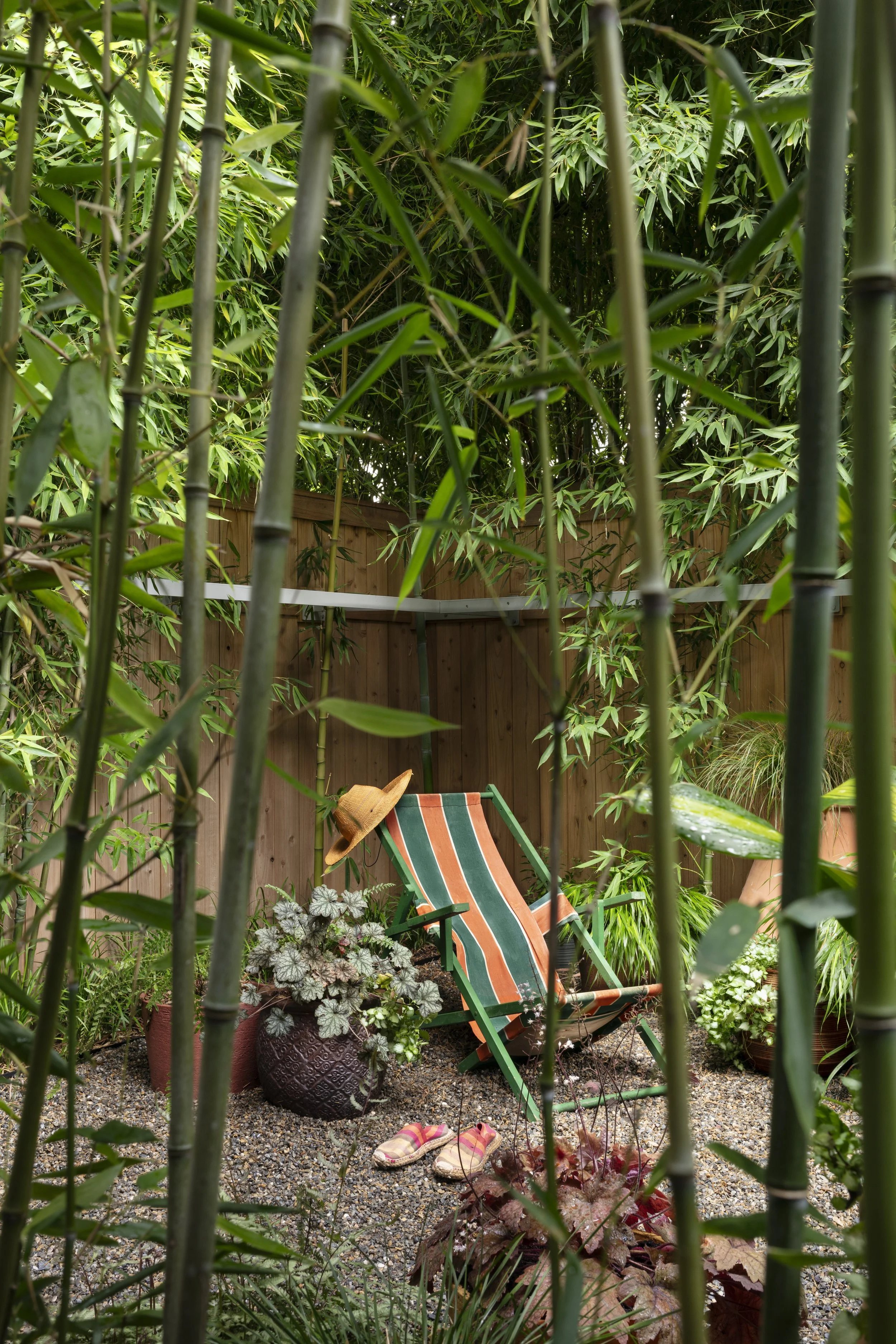 MaconStreet_063.jpg