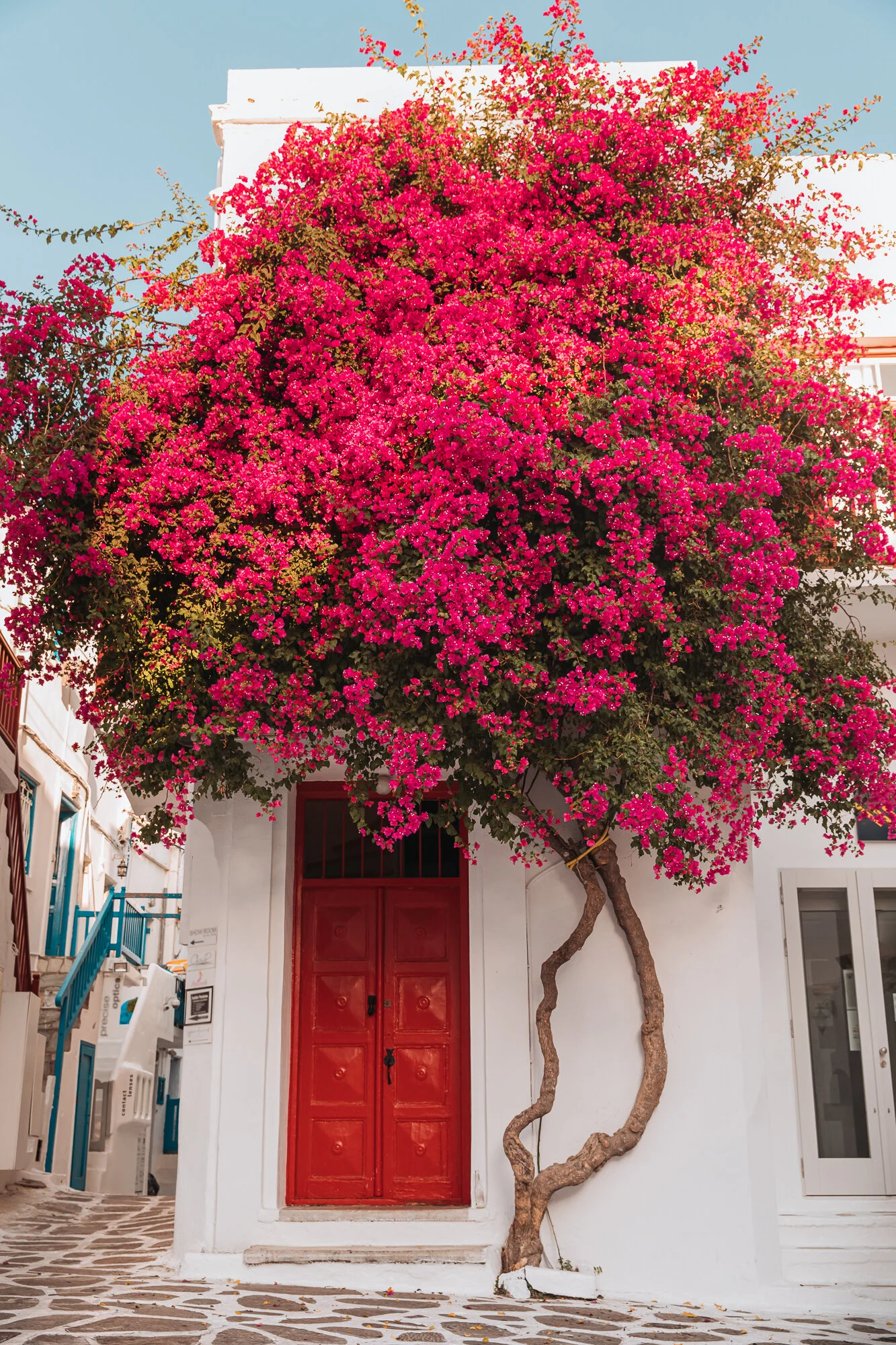 WEB-Pretty Doors 2-1523.jpg