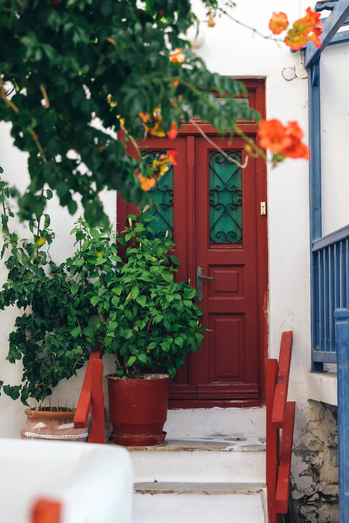 WEB-Pretty Doors 3-1497.jpg