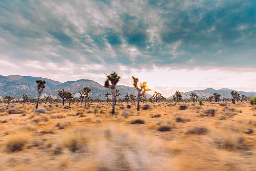 WEB-Heading Home-6090.jpg