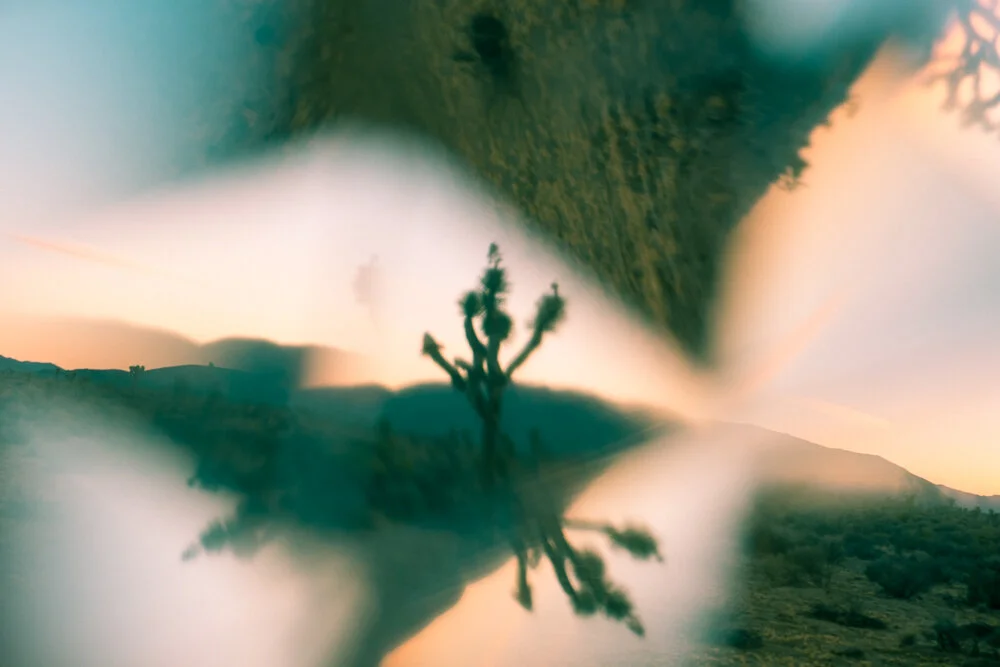 WEB-Reflecting-7051.jpg