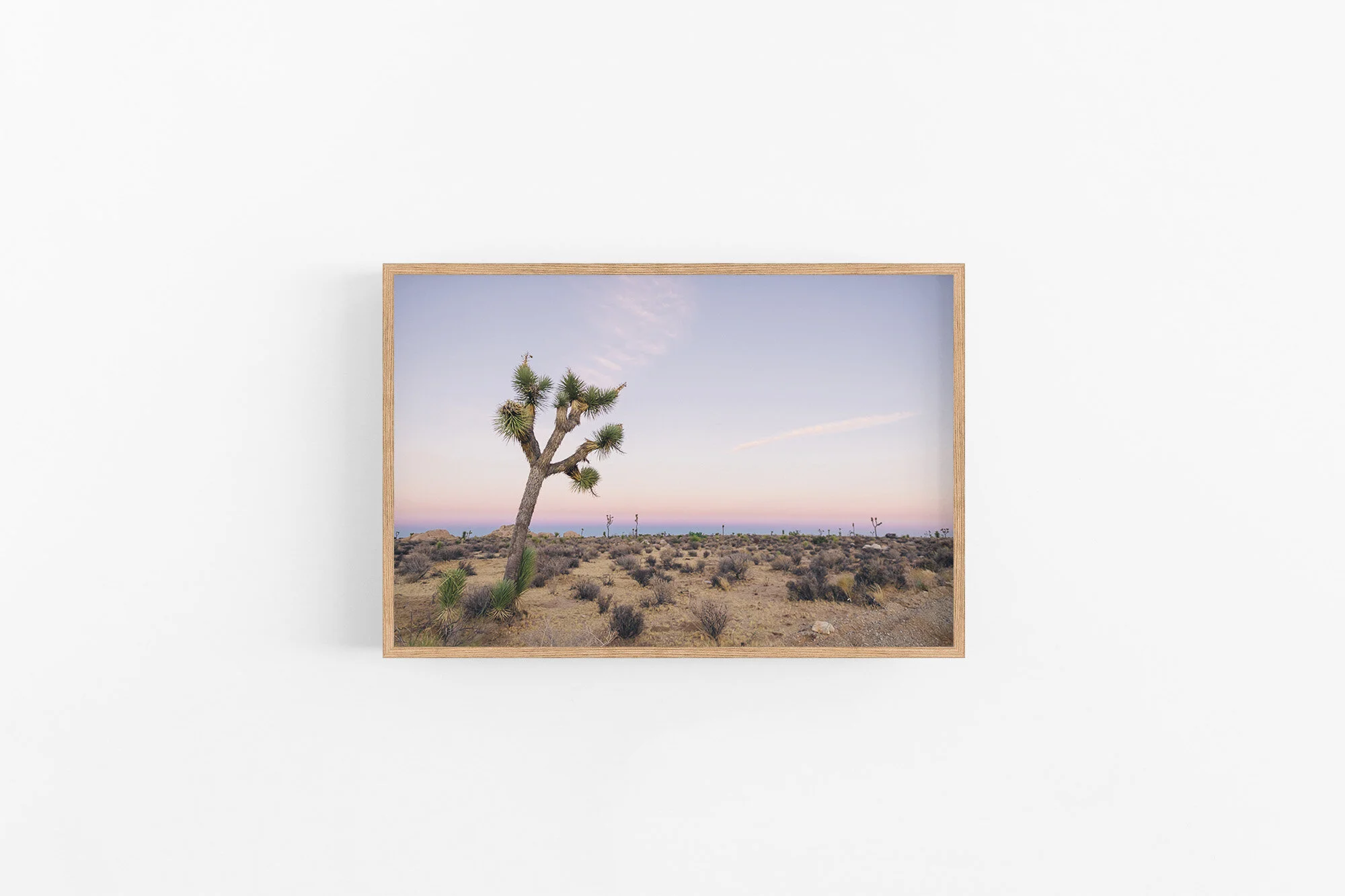 2x3 Pine- Happy Tree.jpg