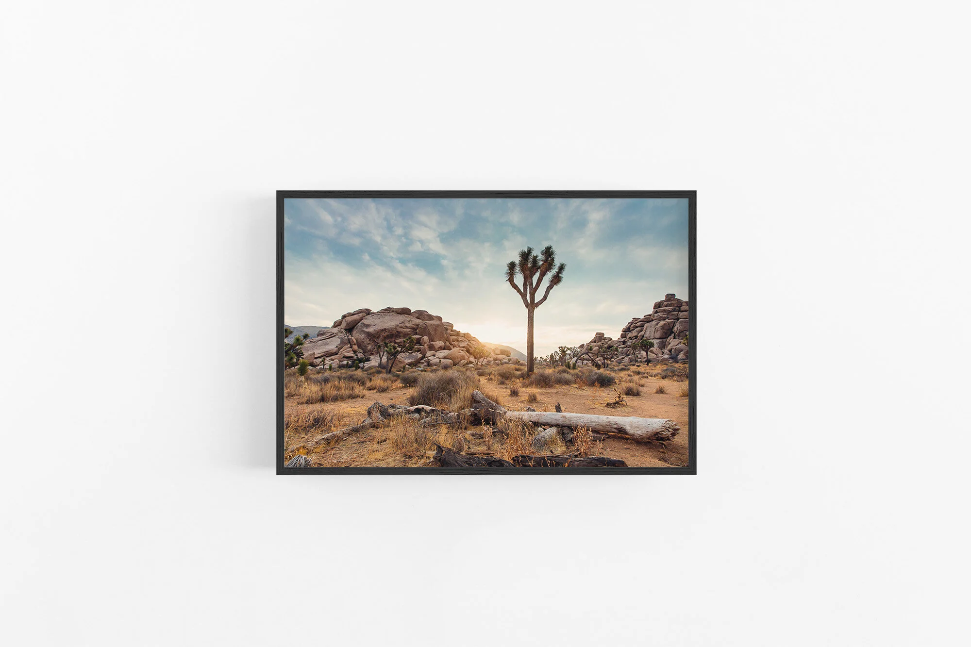 2x3 Black- Standing Tall.jpg