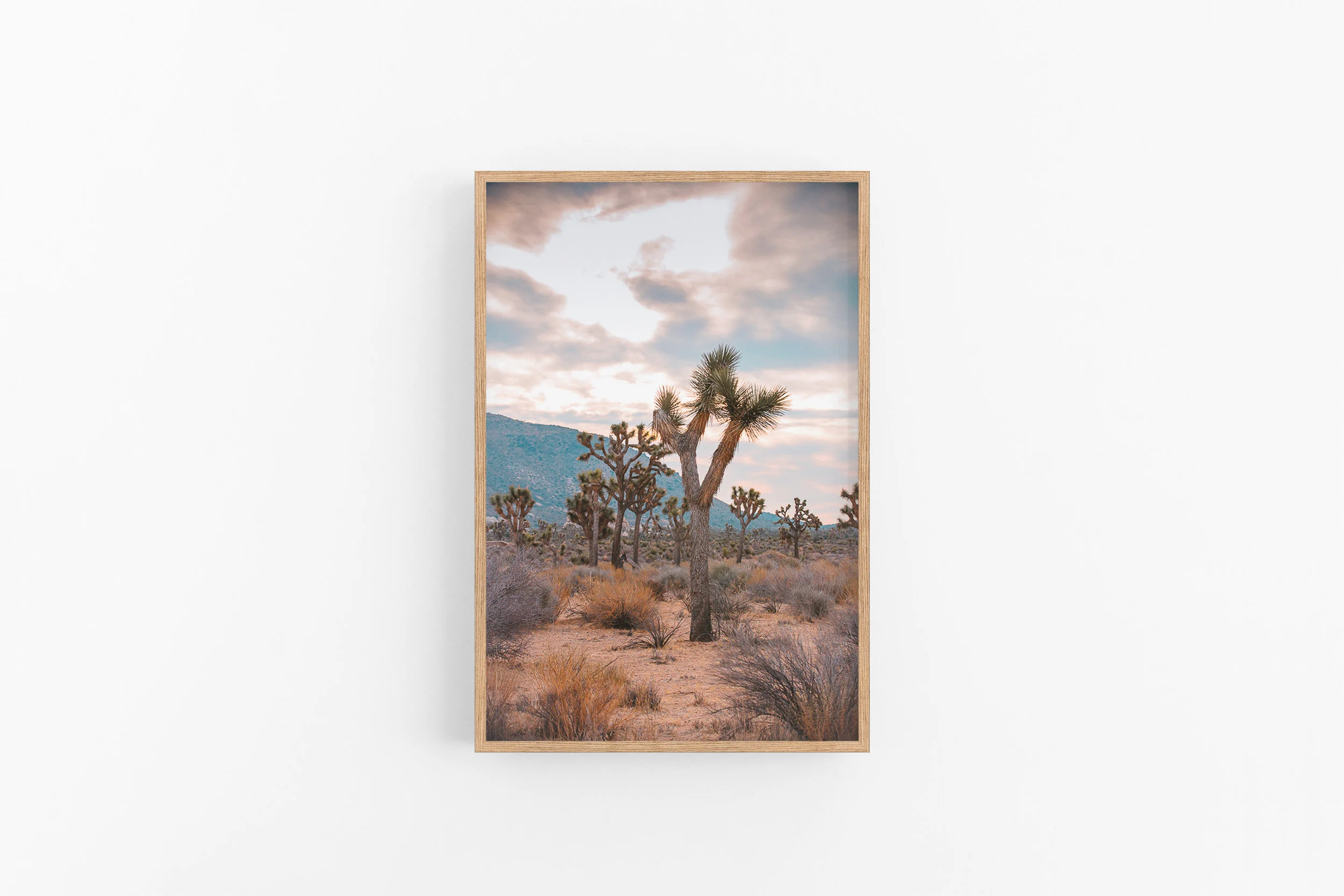 2x3 Pine- Winter Dawn.jpg