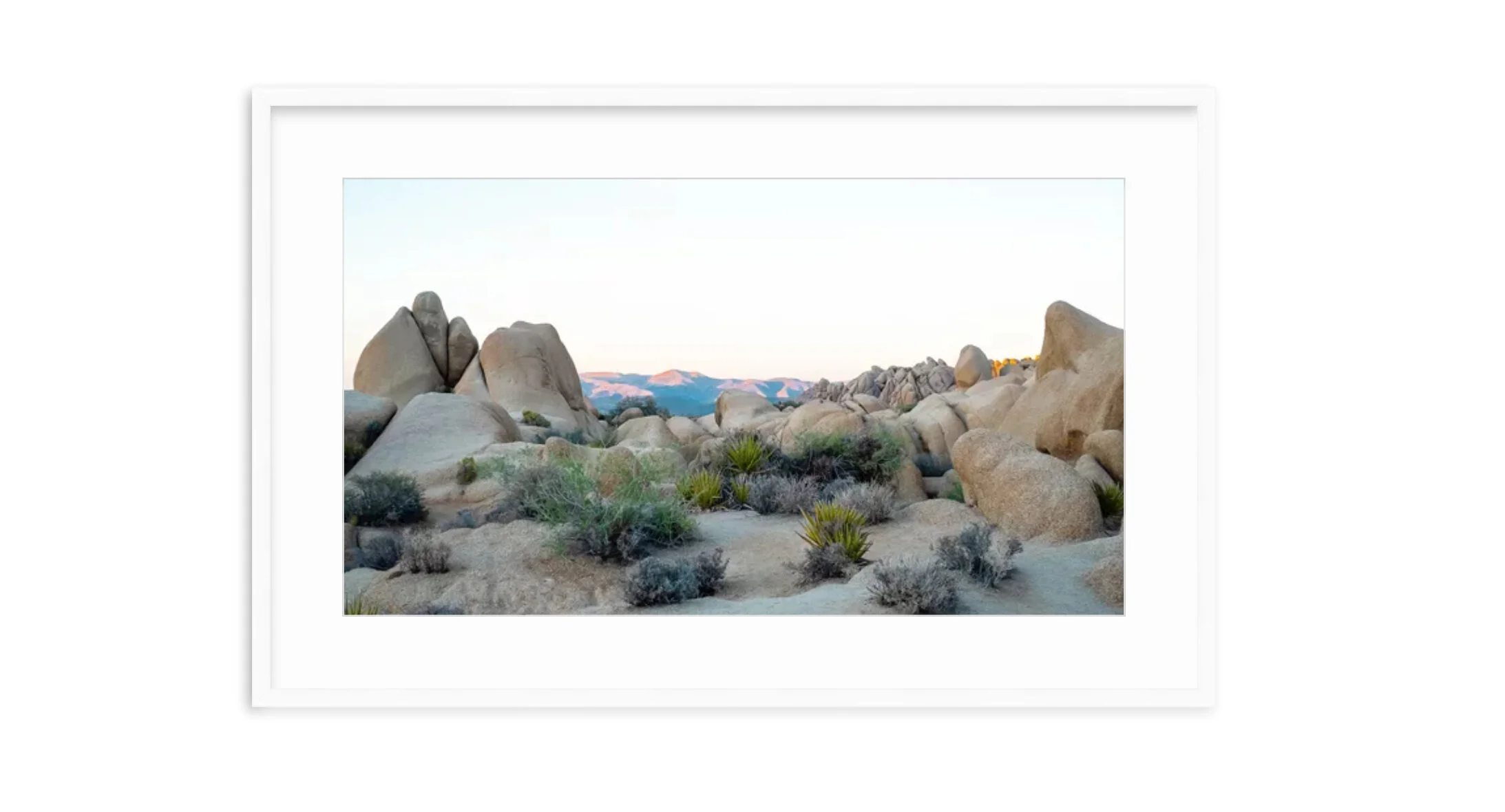 white frame-Metamorphic.jpg