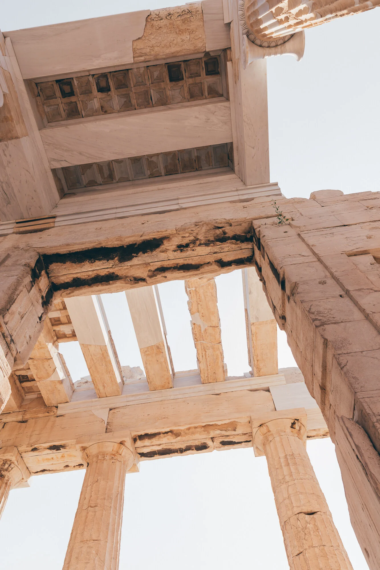 WEB-Acropolis 2-0152.jpg