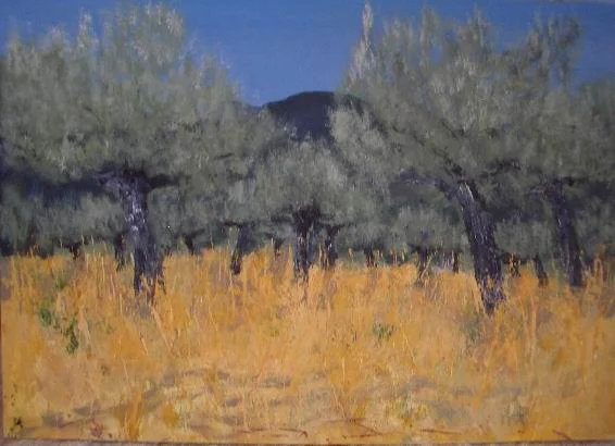 olive trees froom the path.jpg