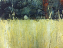 through the olive grove