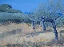 Mani - olive trees and sea