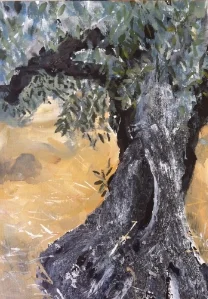 Olive tree portrait 1
