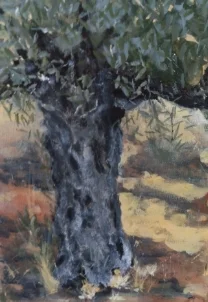 Olive tree portrait 2