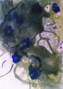 Morning glory 1