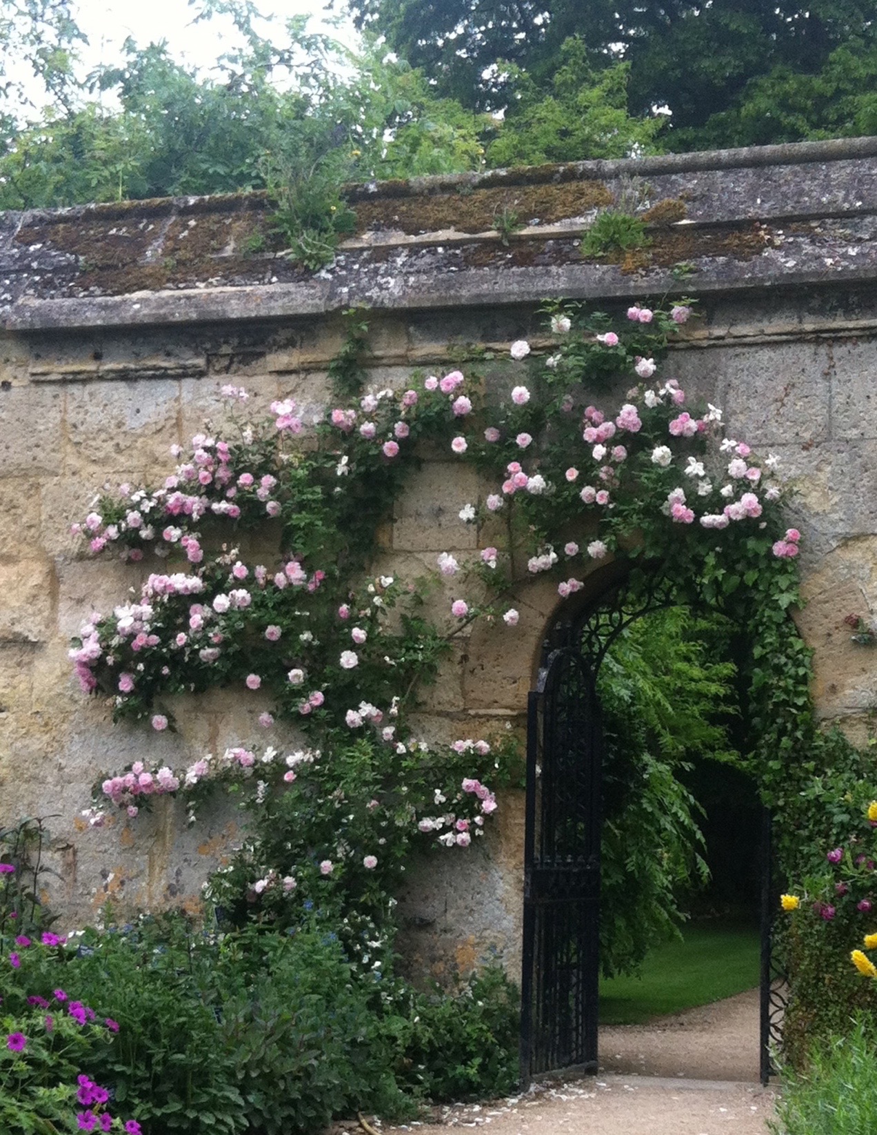 Oxford Botanic Garden