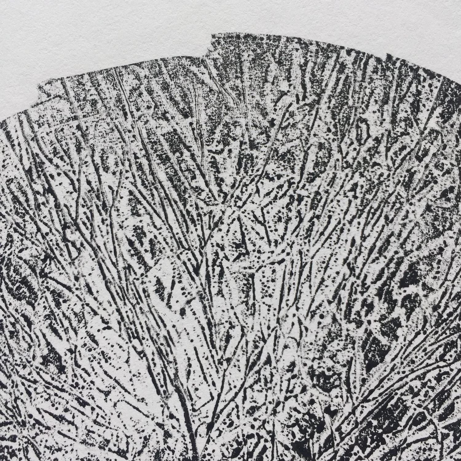 To the edge, detail.JPG