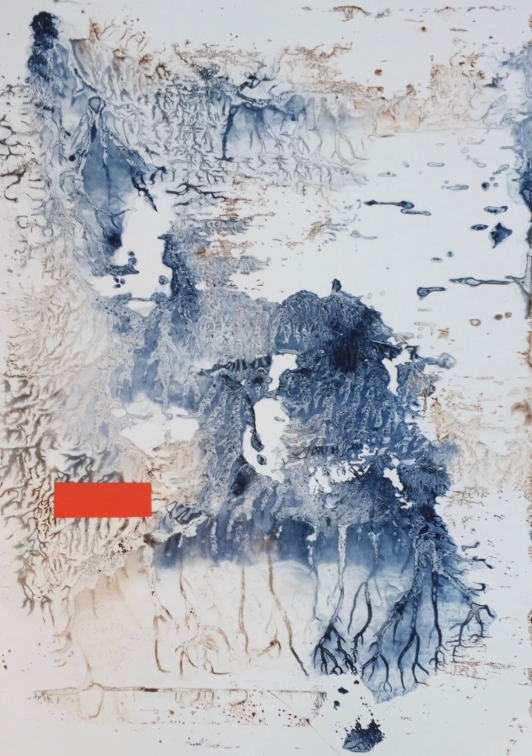 Cameron, The realism of compassion screen.jpeg