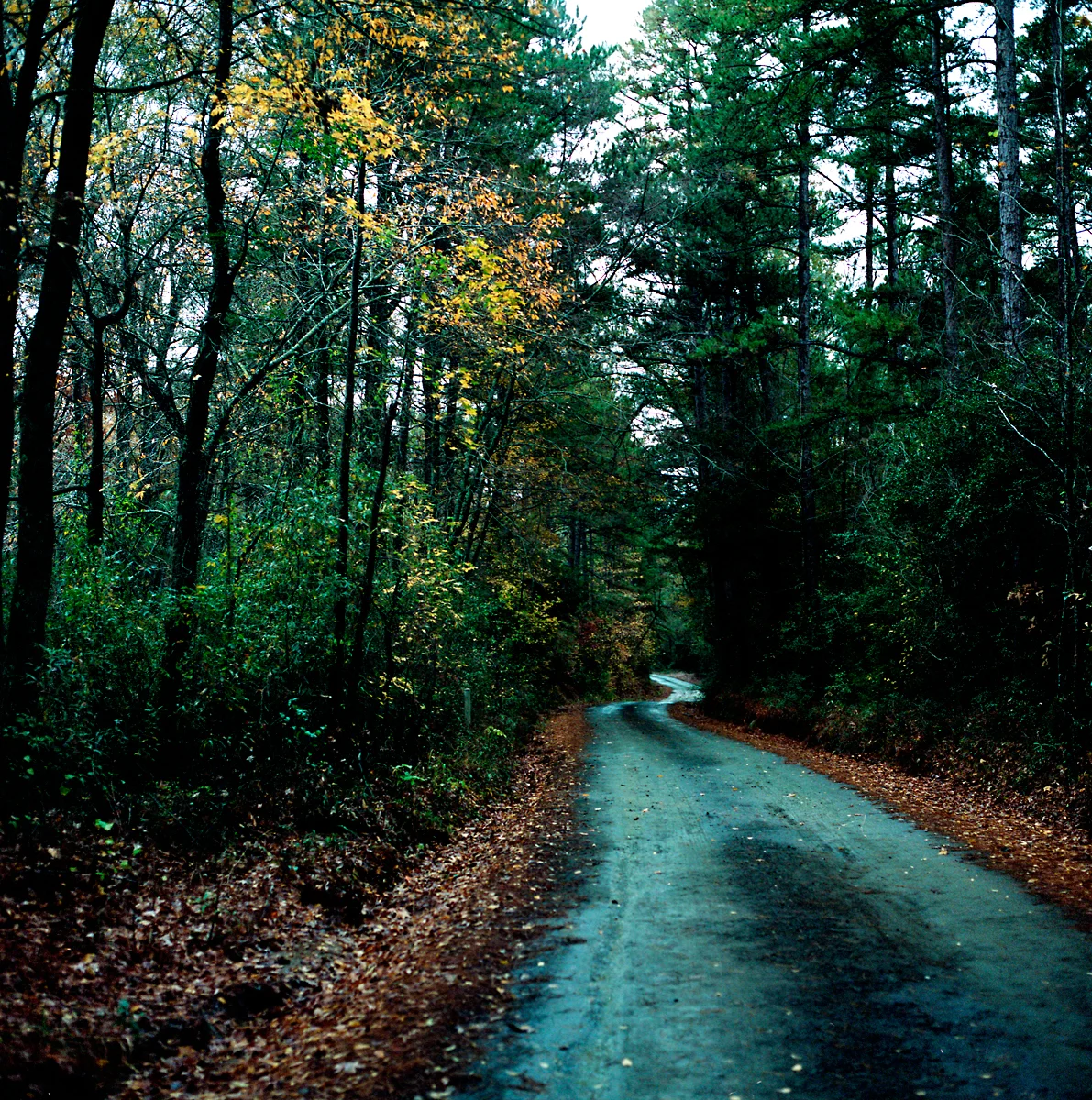 20131212_east_texas008.jpg