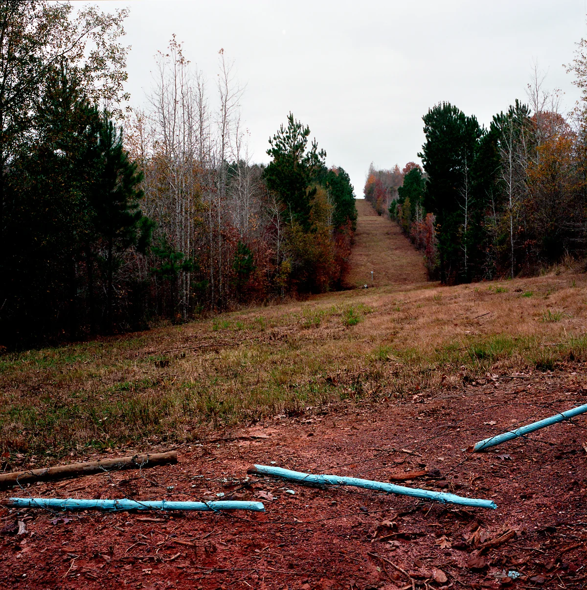 20131212_east_texas024.jpg