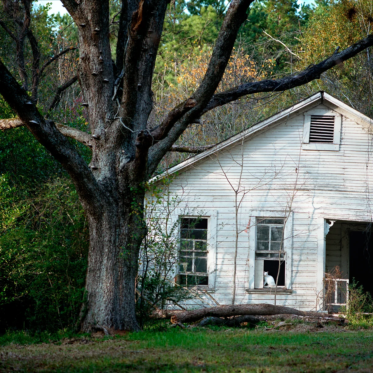 20131212_east_texas042.jpg