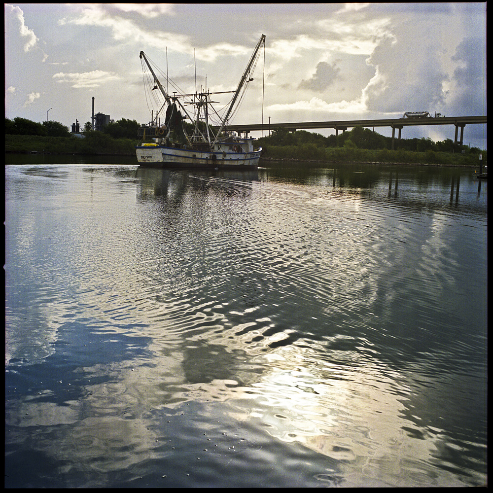 20120725_shrimp_dock004.jpg