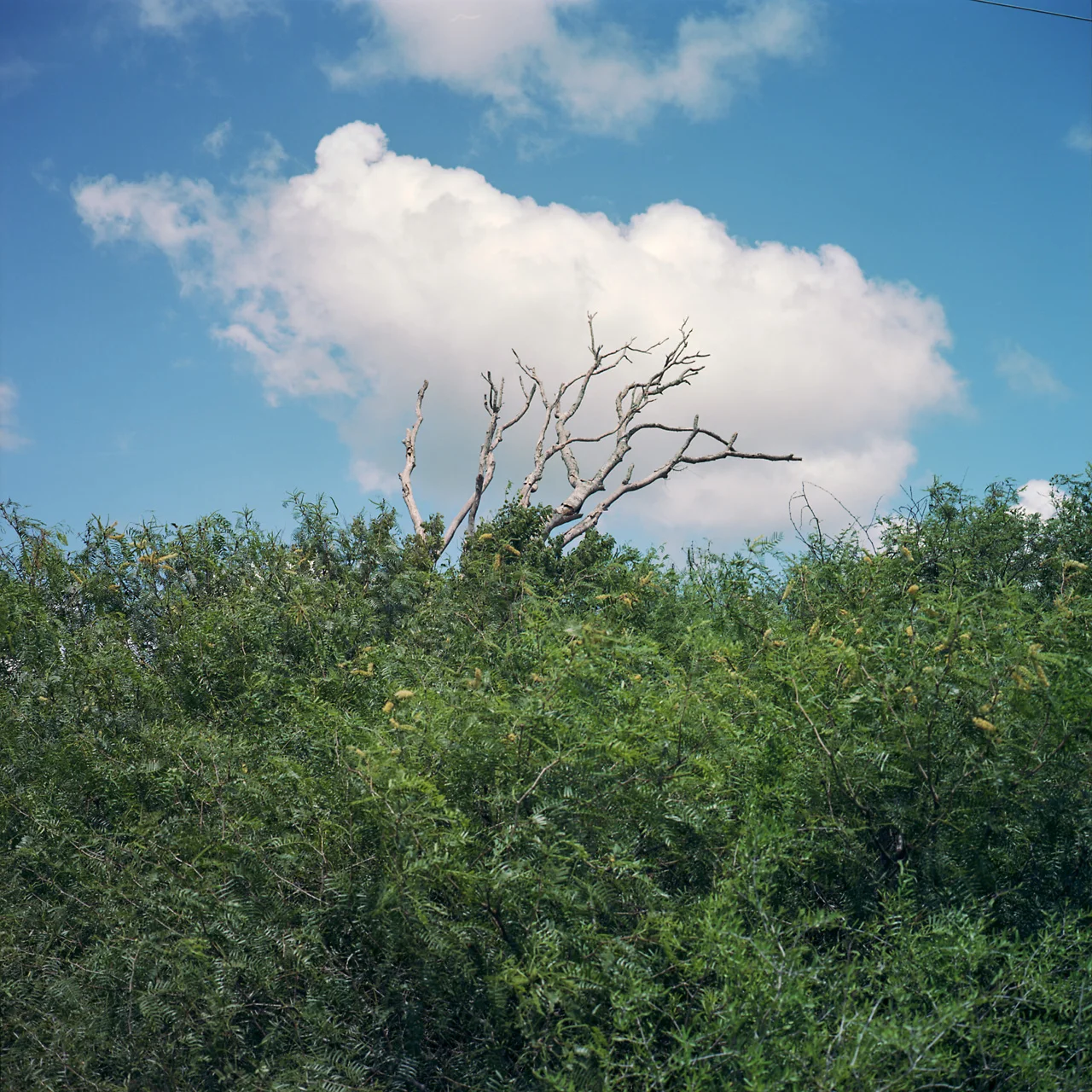 20160623_matagorda_bay_053.jpg
