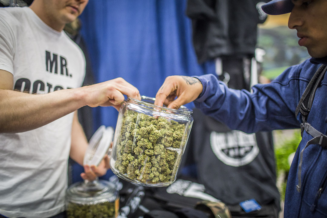  Vendor Jacob Tenney, left, manger of Loyal Tree Farms, offers a bud for attendee Carlos Hermosillo to smell at the Emerald Cup. 