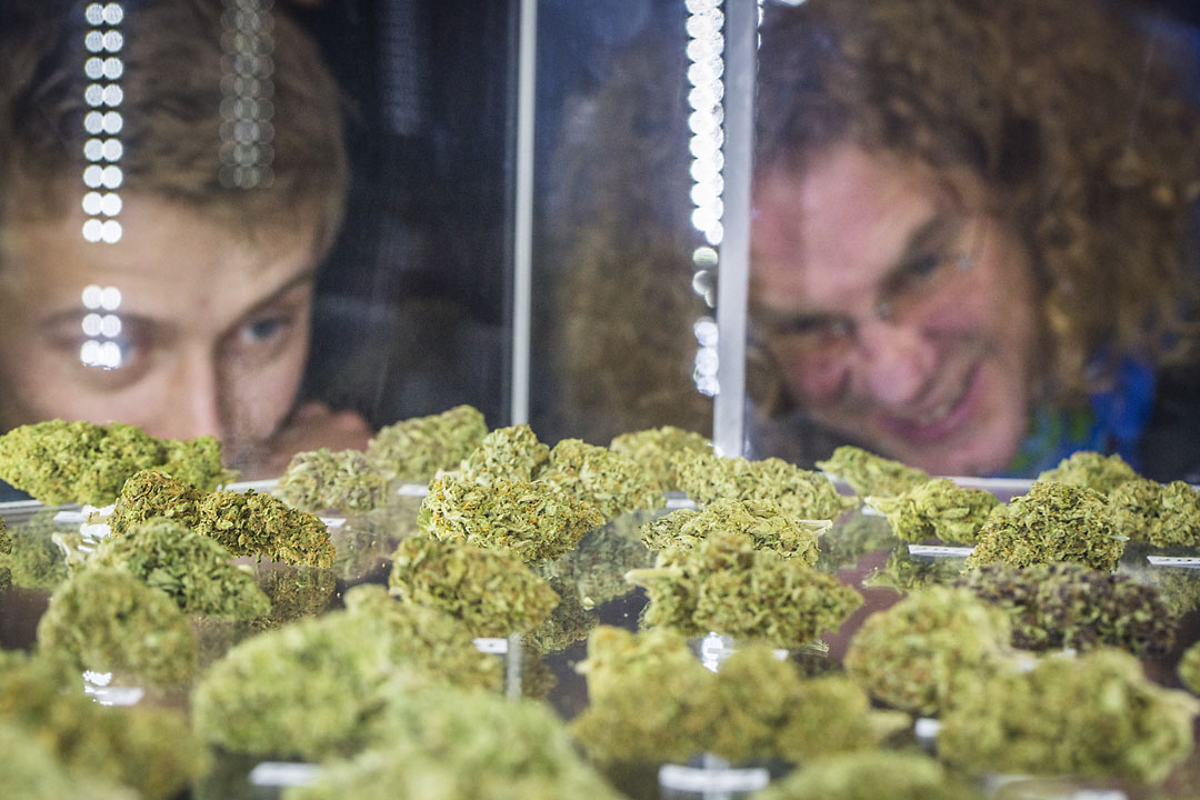  Charles Buchanan, left, and Steve Geisler, both of Athens, OH, look at a entrees on display at the Emerald Cup. 