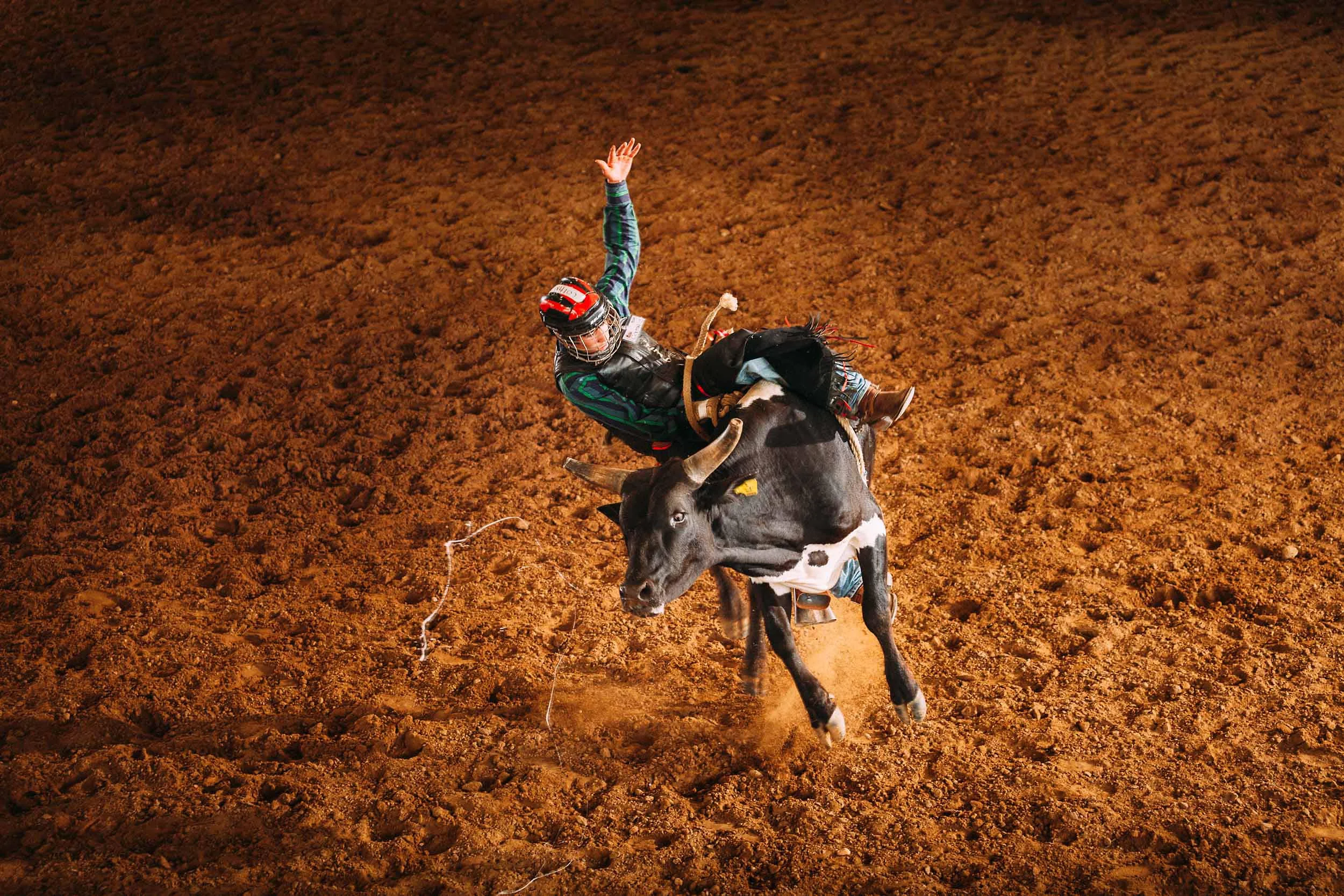 20140524_Bull_Riding_School_0767.jpg