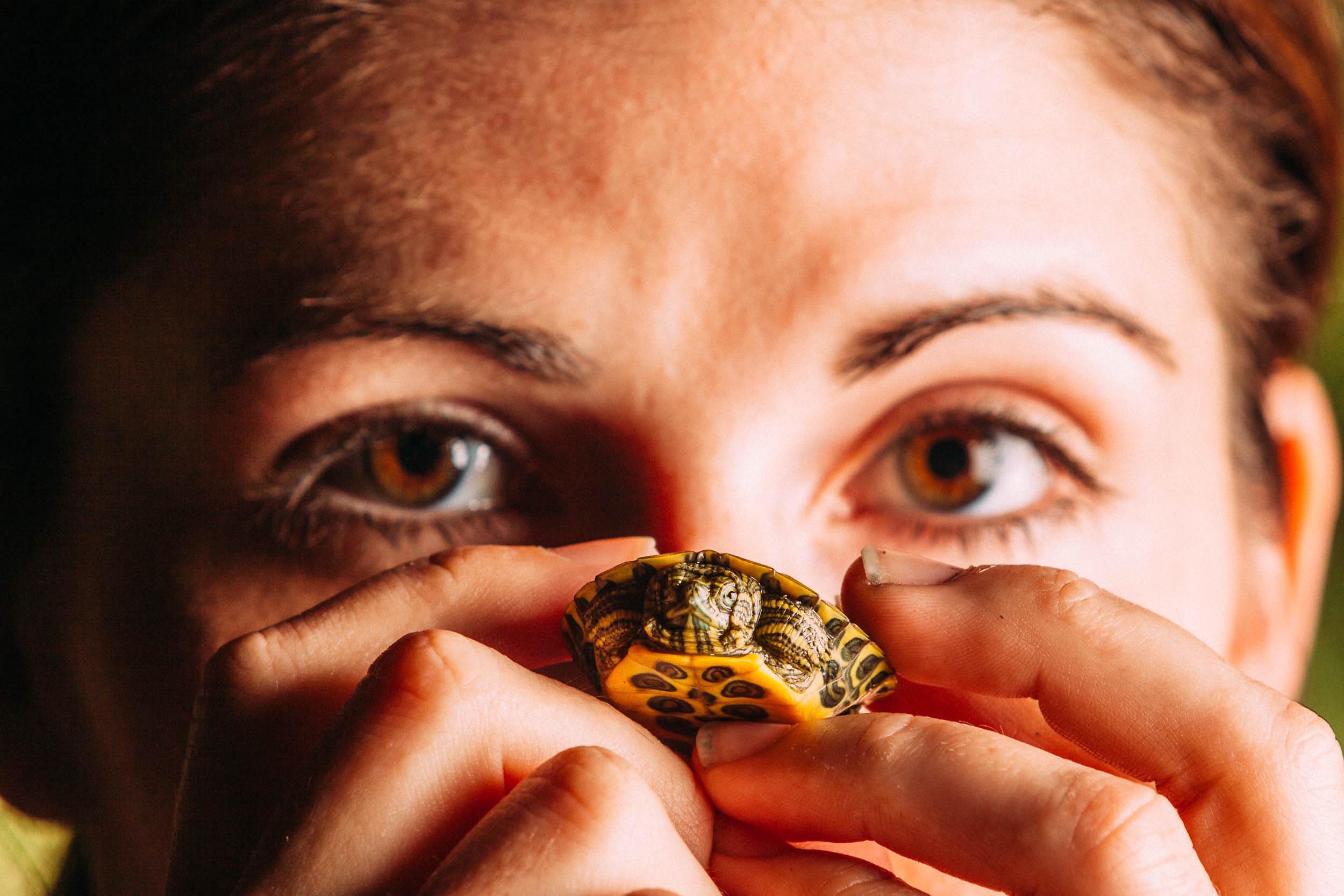 20100714_Kelli_Haskett_turtles_portrait_0112.jpg