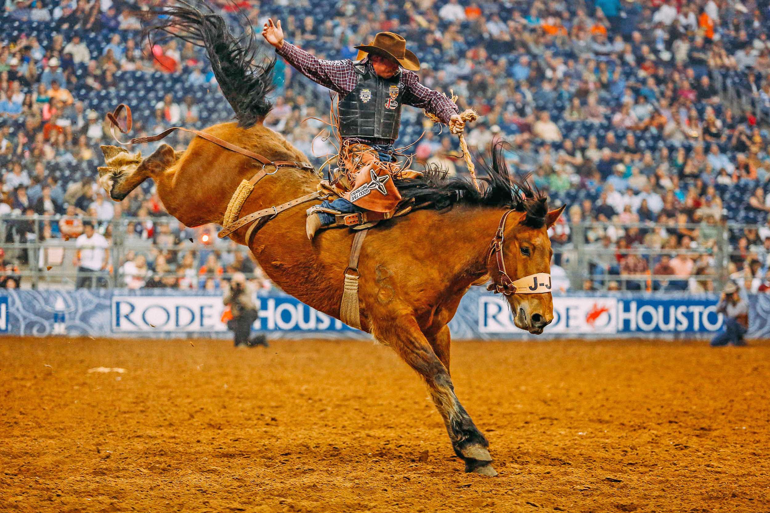 20130312_houstonia_rodeo_0513.jpg
