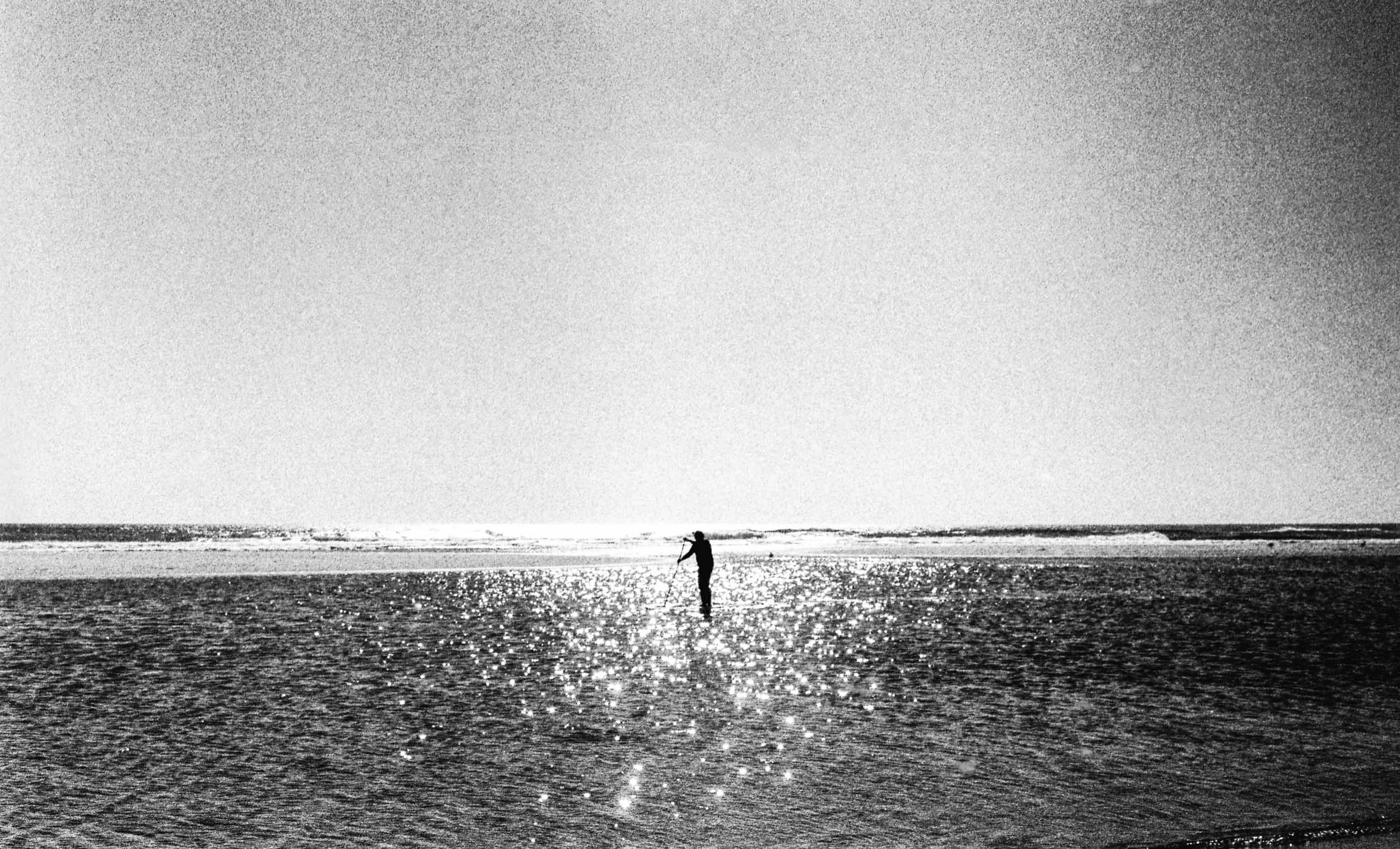 20140917_Cape_Cod_BW035.jpg