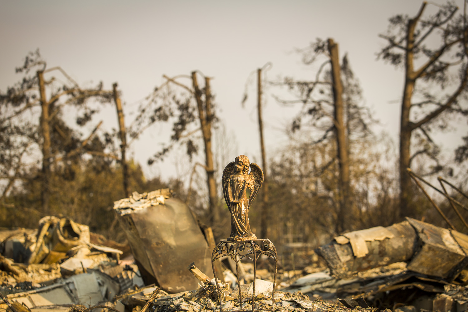  Fire aftermath in the Coffey Park neighborhood Oct. 12, 2017 in Santa Rosa, CA. 